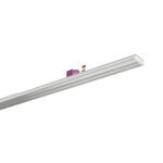 Lichtband