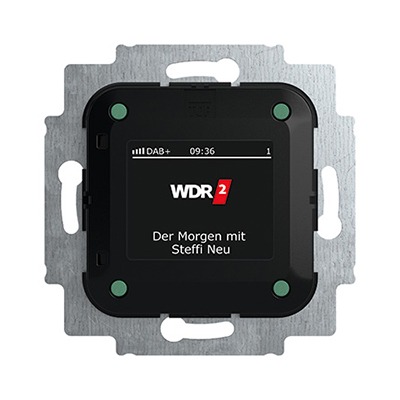 Busch-AudioWorld®, Busch-Radio DAB , Busch-Radio BTconnect DAB