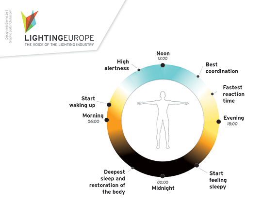 Human Centric Lighting - der Einfluss von Licht auf den Menschen im Tagesverlauf