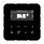 DAB+ Radio schwarz