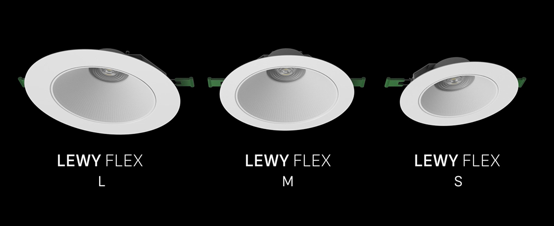 Lewy Flex
