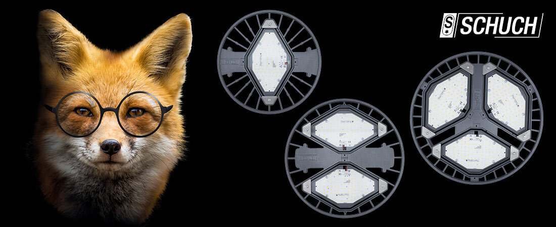 Fuchs mit Brille neben Detail-Produktbild von der Leuchte TRIANO Disc von Schuch