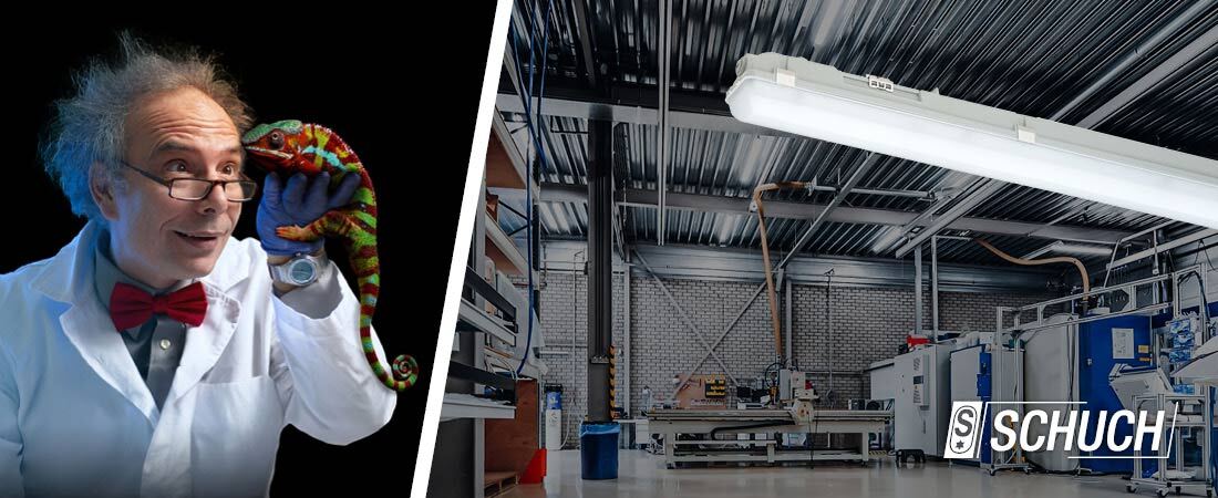 Luxano 2 Leuchte in einer Halle montiert