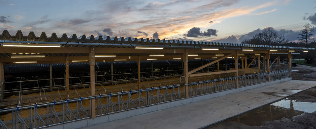 Anwendungsbild der Leuchte Tubis BL von Pracht in einer Stallanlage